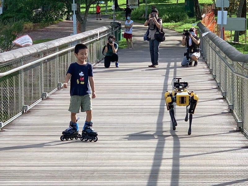 Tech Roundup First half of 2020 - Boston Dynamics