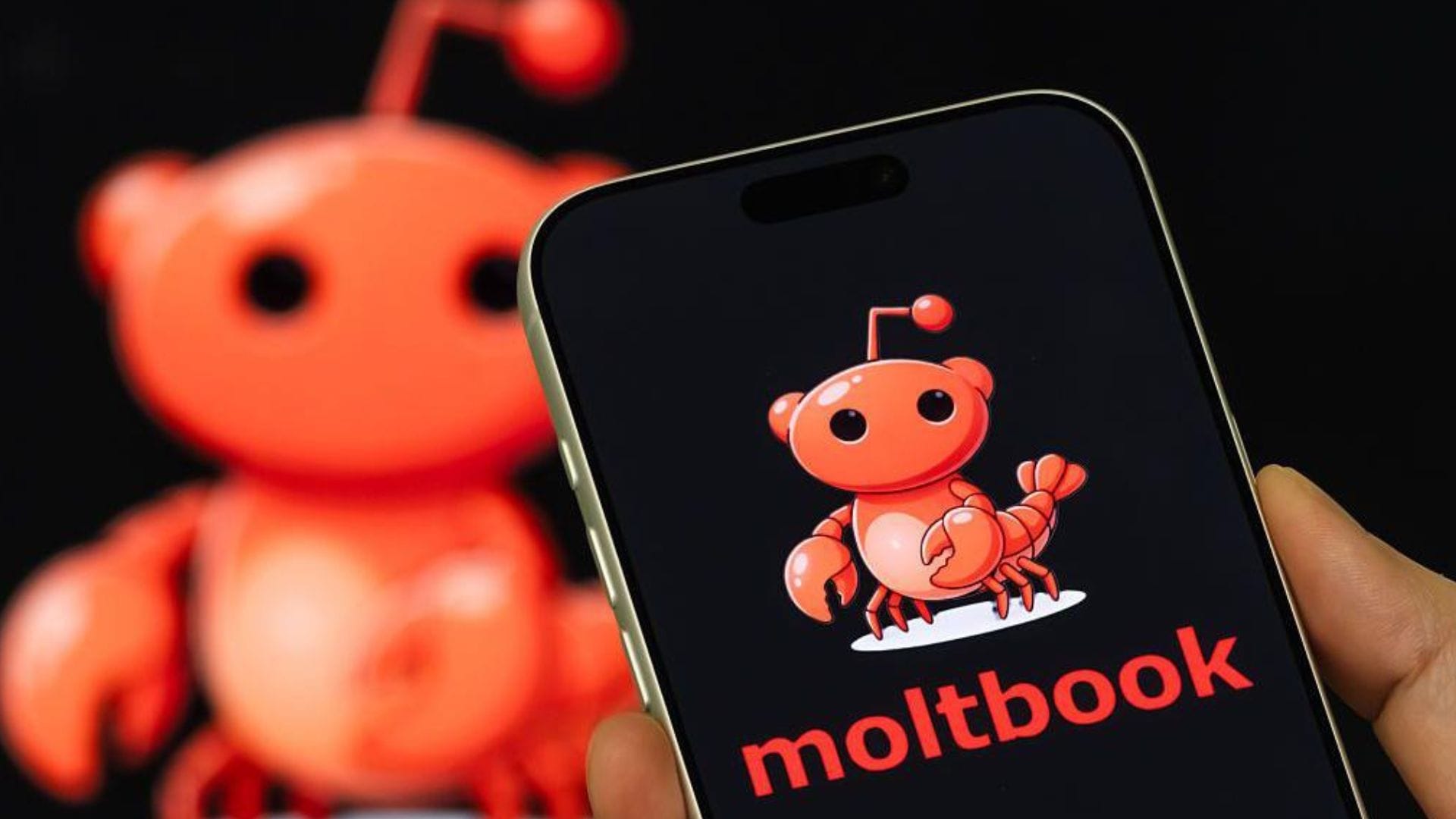 Moltbook exposes user credentials after an AI-built platform flaw