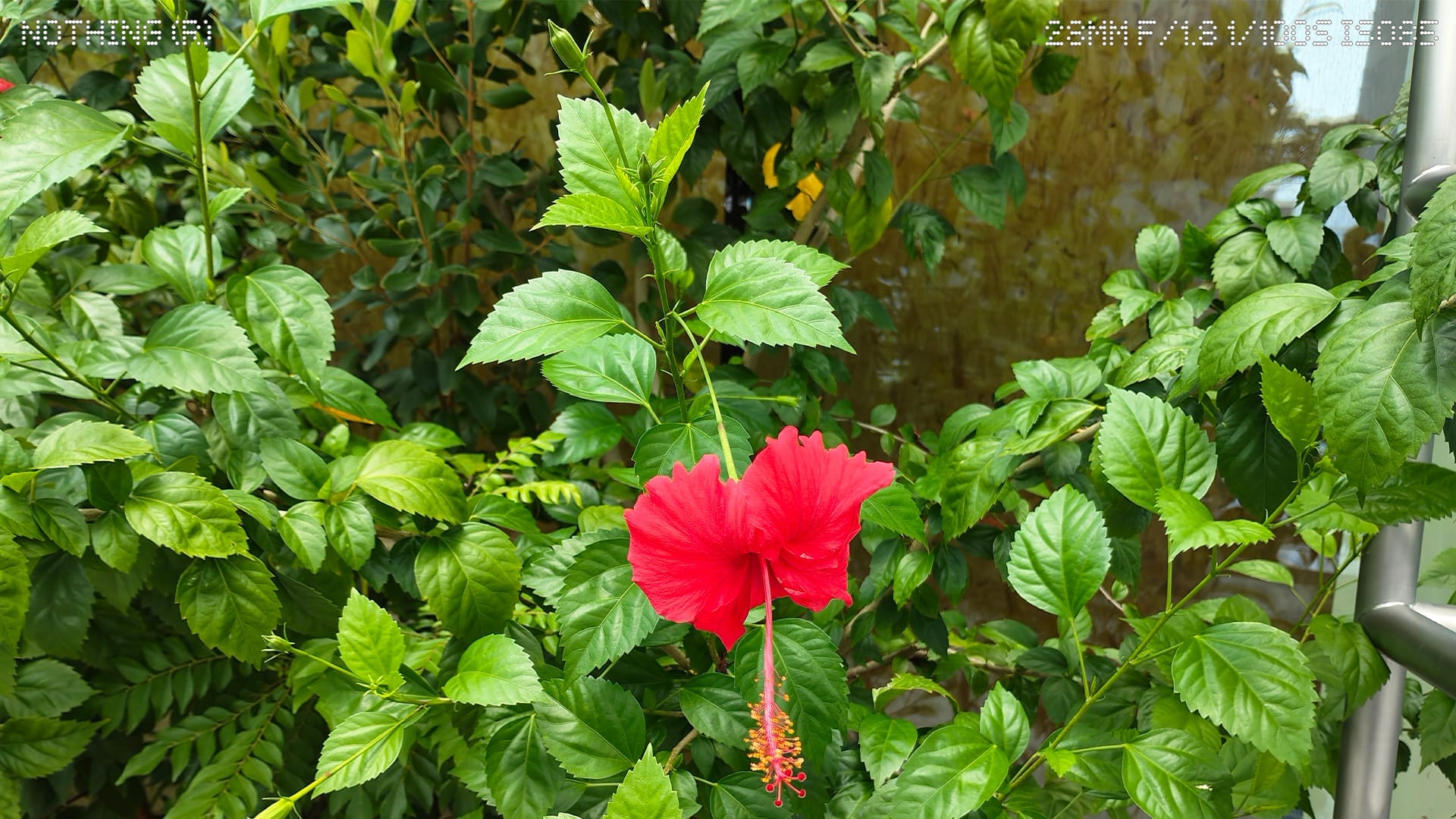 Nothing Phone (4b) review- Distinctive design meets reliable everyday performance - 9